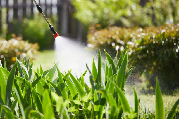 24/7 Emergency Fumigation Services experts in Streetsboro, OH